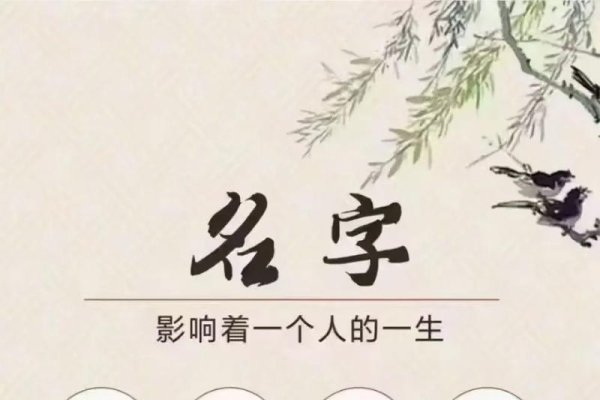 姓名外格与人生运势的关联-红迪亚