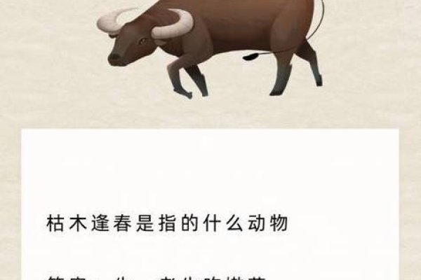 枯木逢春猜一生肖，谜底是牛。-红迪亚