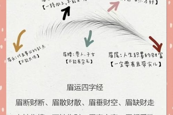 眉毛一根长寓意与财运事业运势关联,右眉长毛预示财富增长,事业发展顺利-红迪亚