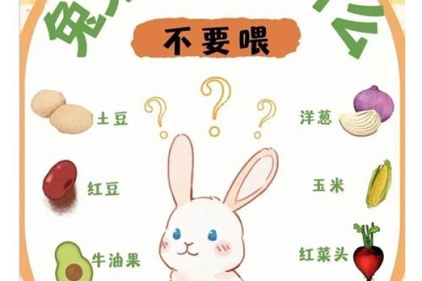 兔年本命年属兔人注意事项及忌讳，谨慎投资、重视健康与人际关系，避免前往不良场所和注意防范小人-红迪亚