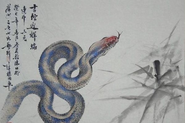 3年出生的属蛇人五行属水，是水蛇年-红迪亚