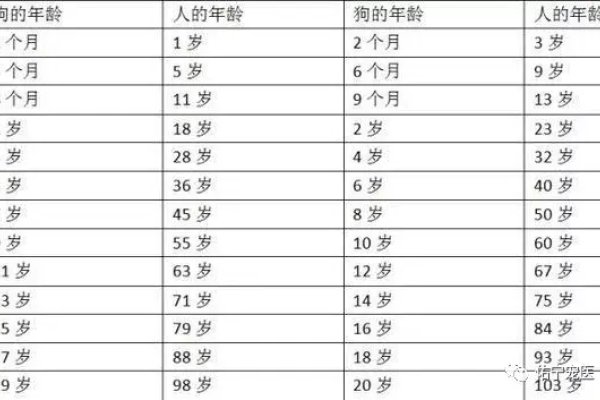 狗年年龄计算与生肖年份解析标题建议，，属狗的出生年份和对应年龄详解-红迪亚