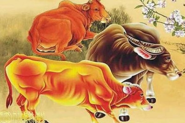 属牛人2013年运势概览，事业财运亨通，感情需警惕。正财稳定，偏财需谨慎；农历三月运程佳，其他月份需注意陷阱。-红迪亚