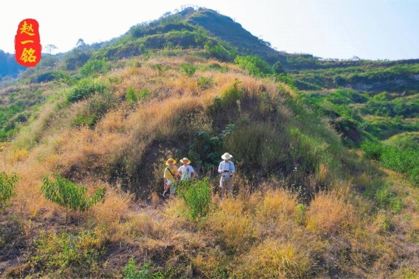犀牛望月指虎生肖。-红迪亚