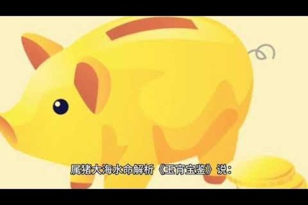 3年属猪大海水命分析-红迪亚