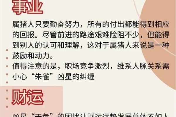 猪年属相及命运解析-红迪亚