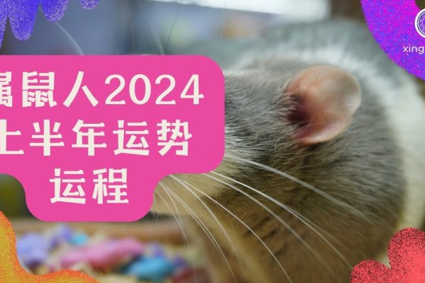 鼠年运势，金鼠之命详解-红迪亚