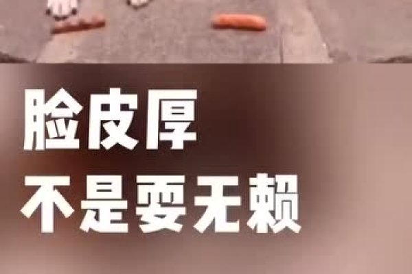 厚皮老脸指的是生肖狗。-红迪亚