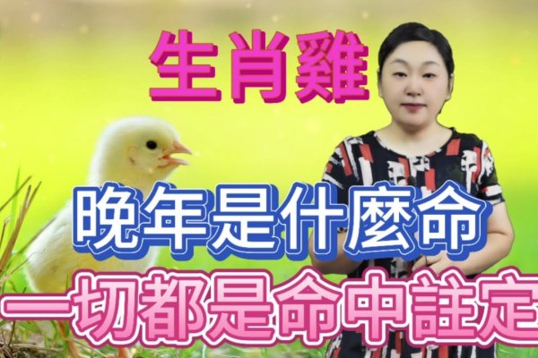 暮去朝来猜肖揭秘，羊还是鸡？-红迪亚