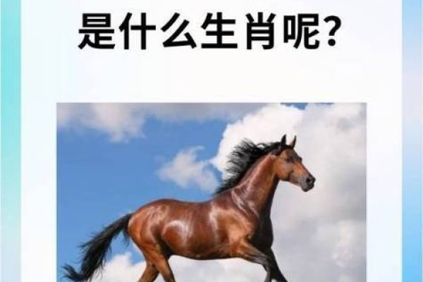 驾轻就熟的生肖是马。-红迪亚