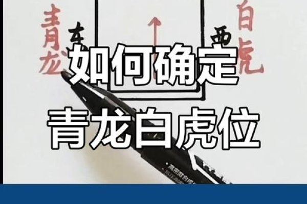 左青龙右白虎，风水方位解读-红迪亚