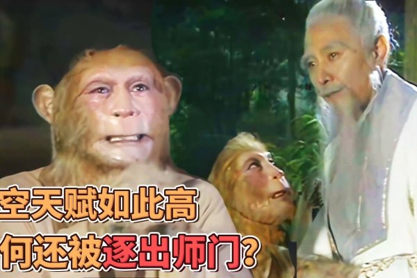 惩前毖后，猴的智慧之选-红迪亚