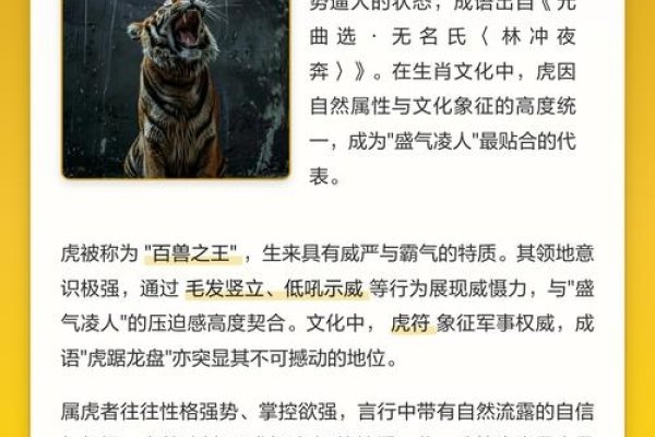 盛气凌人生肖虎-红迪亚