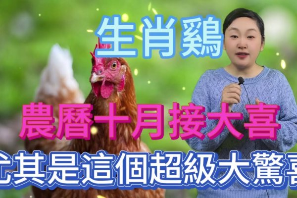 旭日东升有喜气猜一生肖，答案，鸡。-红迪亚