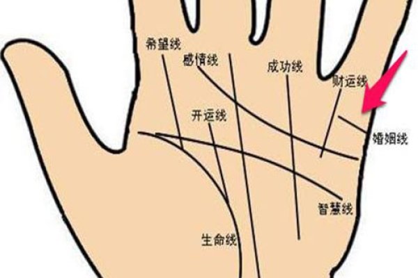 男人手相解析，婚姻与事业之秘-红迪亚