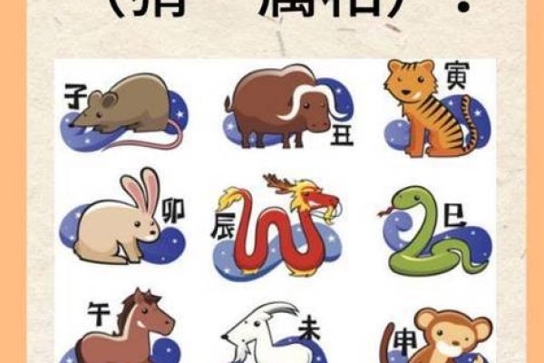 先入为主猜生肖，精准答案是鼠-红迪亚