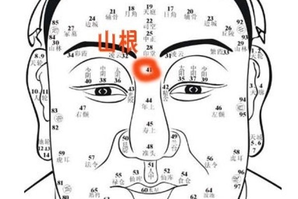 男人额头面相解析，纹路、形状与运势建议，揭秘男性额头纹路与命运走势-红迪亚