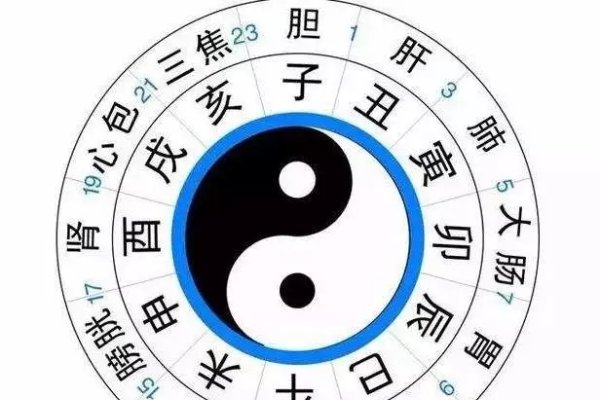 男人左眼跳时辰不同寓意各异，，子时（23点至凌晨一点）贵人相助、酒食或桃花运。，丑时至寅时运势波动，有困扰或有远行注意安全的暗示。，周一至周五眼皮跳动含义不一，如周一左眼跳预示今日有事发生等。-红迪亚