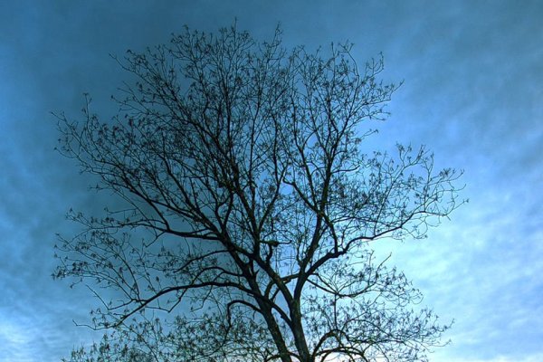 浩然之意形容宏大自然景象-红迪亚