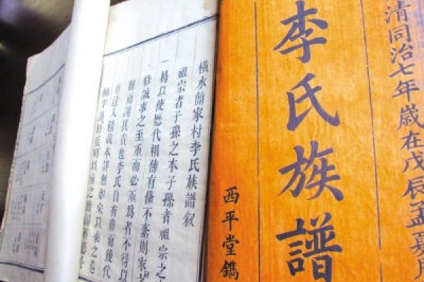 李氏家族寻根网站，探寻陇西李氏宗族的历史渊源与文化意义-红迪亚