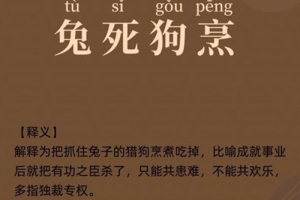 兔死狐悲解读生肖马与羊，谜底或是狗。-红迪亚