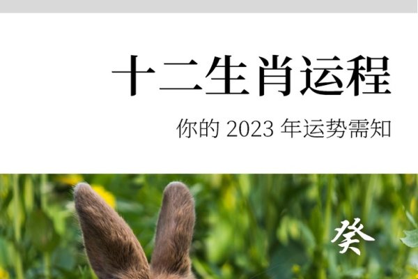 卯生肖解读-红迪亚