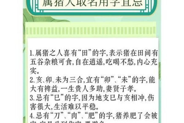 猪生肖起名宜忌-红迪亚