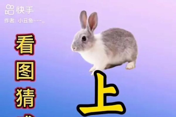 勾三搭四打一生肖，谜底是兔。-红迪亚