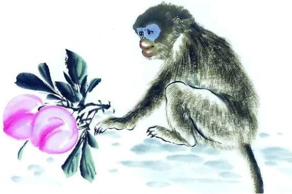 勾三搭四关联生肖猴、虎和兔，解密动物生肖之谜-红迪亚