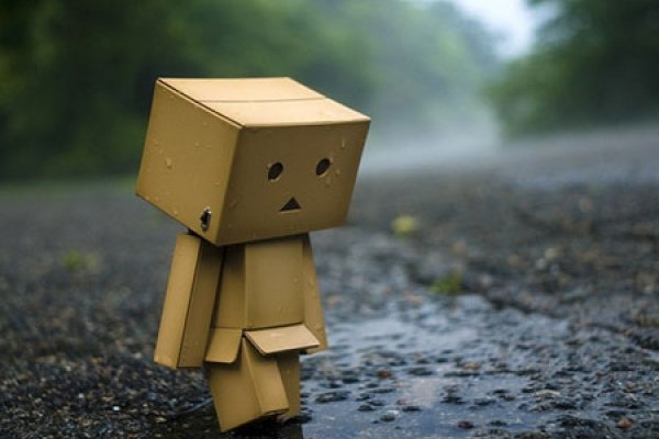 射手座属狗O型血性格分析-红迪亚