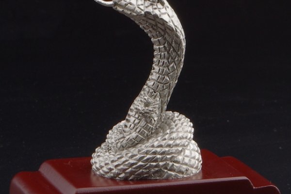 铁石心肠代表生肖蛇，坚韧冷静，象征无惧挑战与压力。-红迪亚