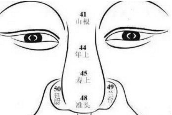 鼻头大面相解析-红迪亚