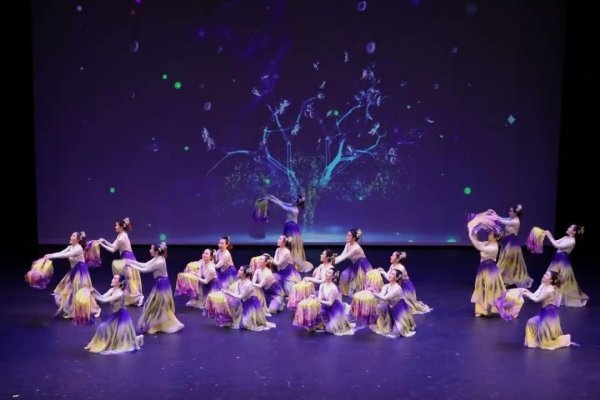 舞团名字，梦之翼，职位名称，团长、舞者团队领袖，根据诗意氛围和舞蹈元素，为这个舞团命名为梦之翼，寓意着引领梦想飞翔的领导者。同时体现了团队的团结与活力，以及追求卓越的艺术精神。这个名字既独特又富有吸引力，适合展现个性鲜明的舞团形象。-红迪亚