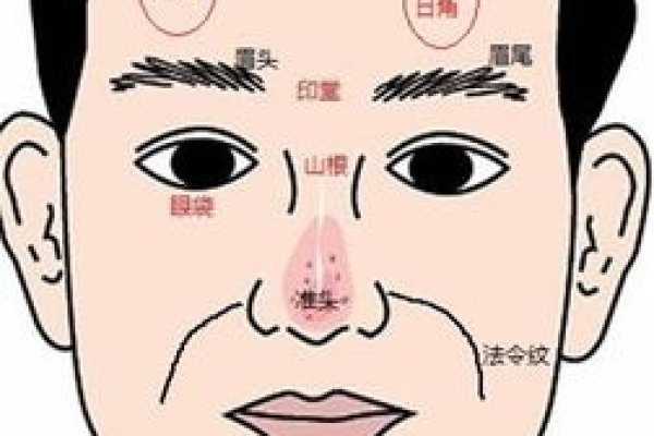 额头王字纹的贵相与运势解析-红迪亚