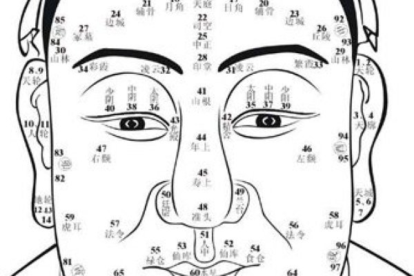 额头窄的人的面相解析，命运与性格特征探讨标题建议如下，，解读额头狭窄者的面相奥秘，早运及事业运势分析。，面相学中的额头窄小影响个人命运的真相揭秘！，探索额头狭小的含义与个人性格特点关联探究。-红迪亚