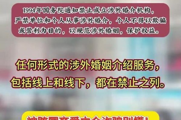 涉外婚介合法性及注意事项-红迪亚