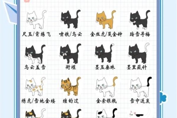 宠物名字精选，招财、寓意吉祥的猫咪命名，或简化为，猫名大赏，财运亨通-红迪亚