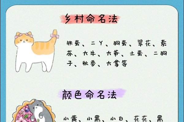 宠物取名大全可爱招财-红迪亚