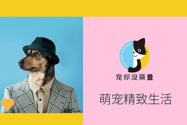 宠物商标转让流程及独特名字推荐，招财又好听！-红迪亚