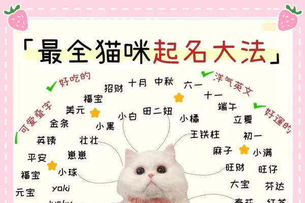宠物猫名字大全-红迪亚
