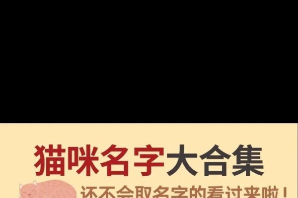 宠物猫名字灵感，霸气招财+独特可爱，这些猫咪的名字，听起来就让人期待它们未来的成就！-红迪亚