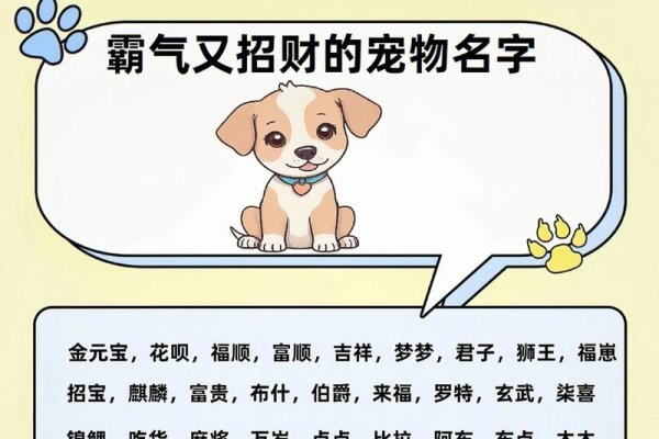 宠物旺名精选-红迪亚