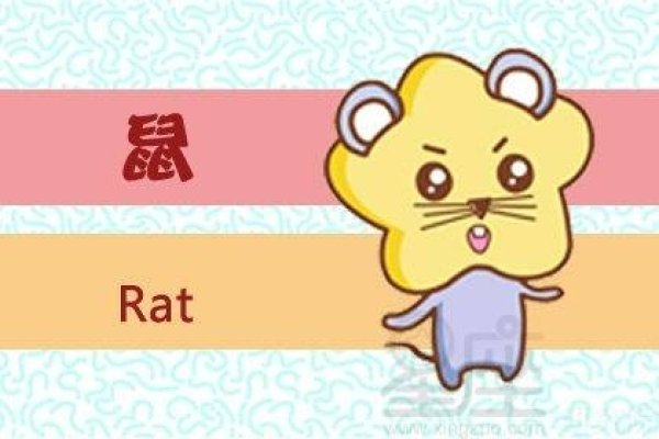 惴惴不安打一正确生肖是鼠-红迪亚