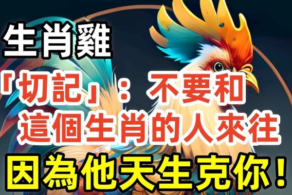 呶呶不休打生肖鸡-红迪亚