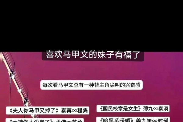 揭秘传奇世界的马甲文化，定义、种类与独特角色名字推荐-红迪亚