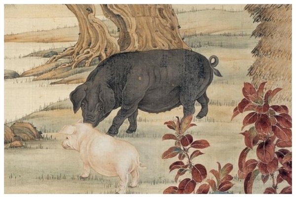 妻妾成群的生肖是猪，源于传统文化中的繁荣与富足象征。-红迪亚