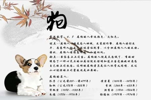 属狗出生年份一览表-红迪亚