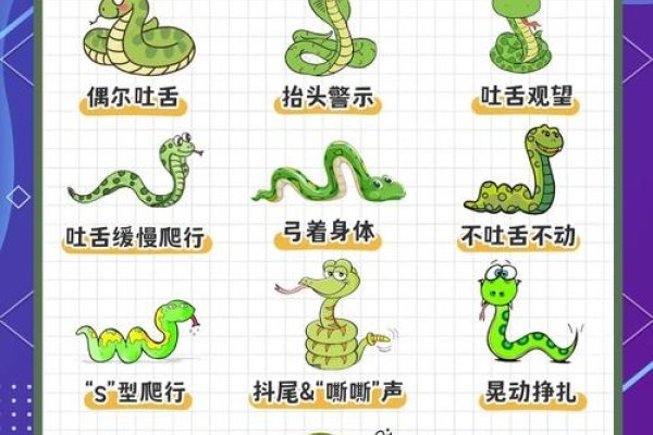 贪婪成性的生肖，蛇的象征与解读-红迪亚