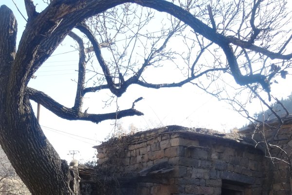 阴曹地府当小差是指生肖—龙-红迪亚