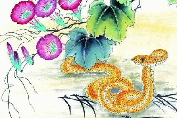 勾心斗角的生肖,蛇-红迪亚